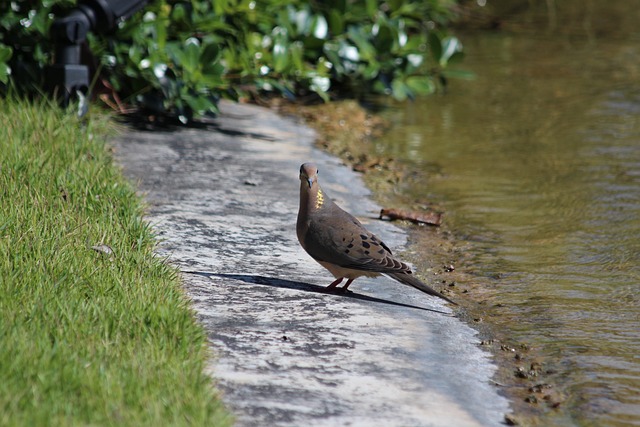 联的